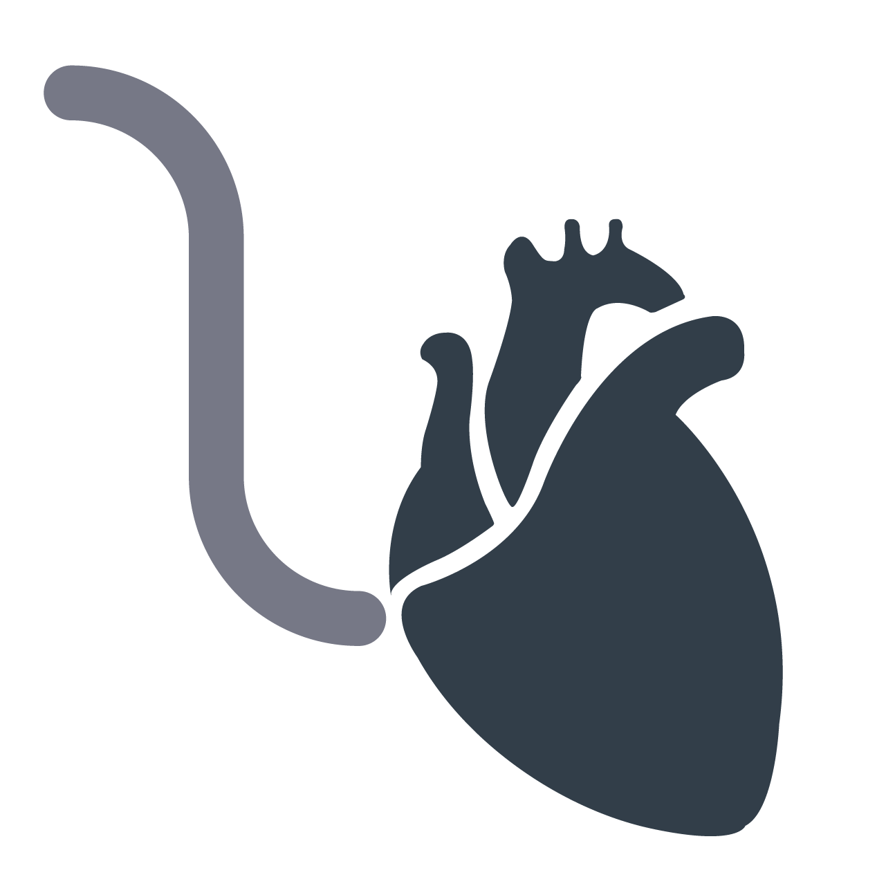 catheter ablation af