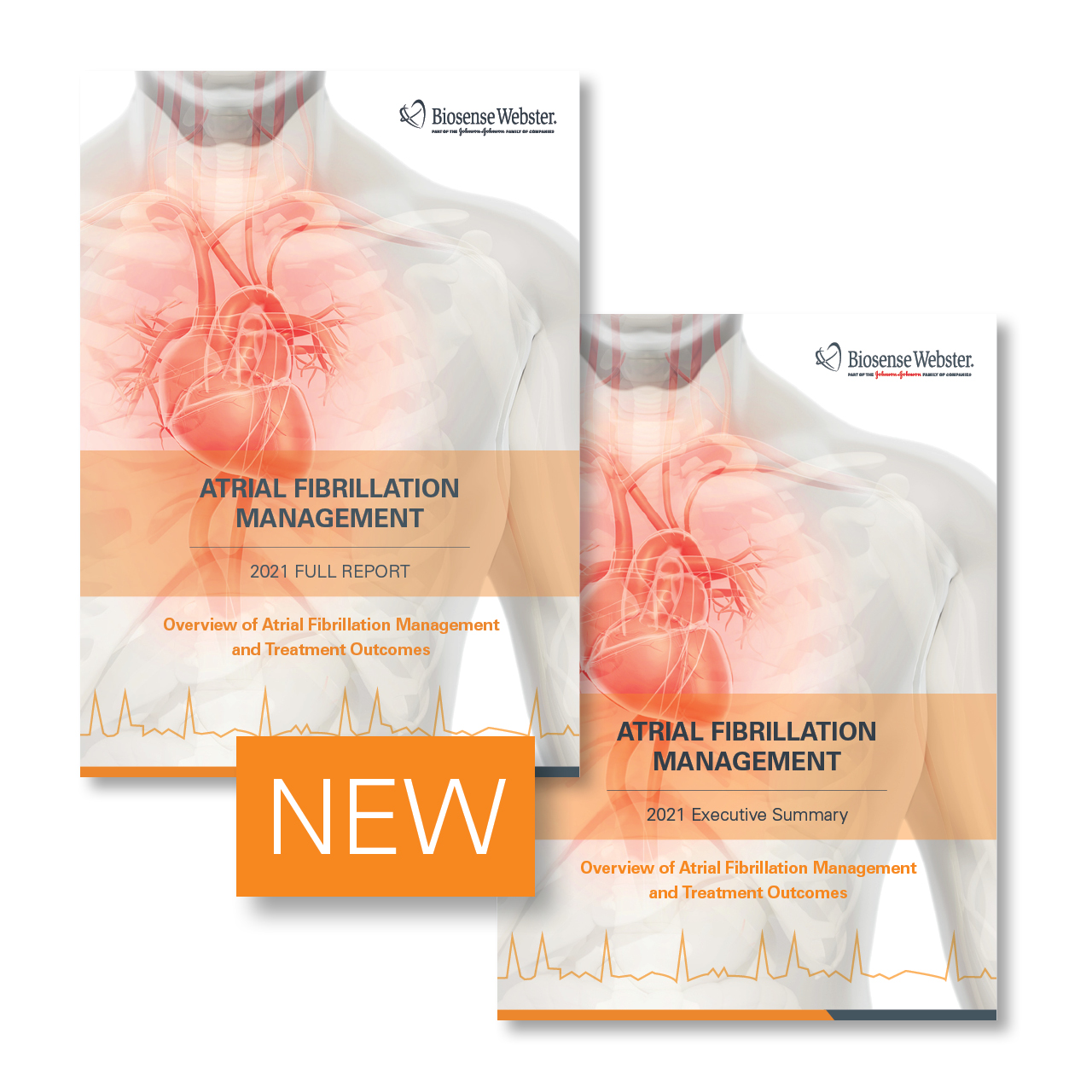 Atrial Fibrillation Management: 2021 Executive Summary