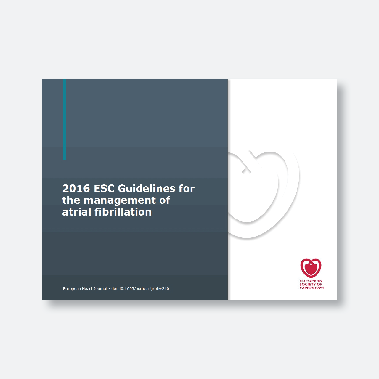 esc guidelines