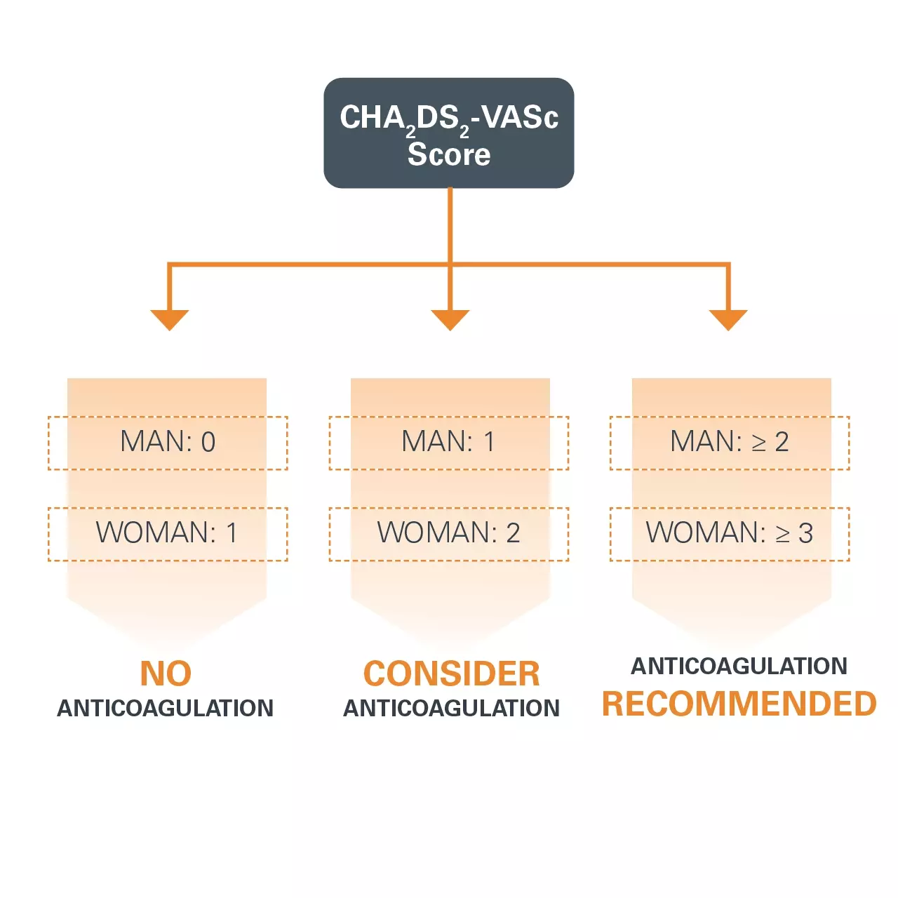 Oral Anticoagulation Therapy